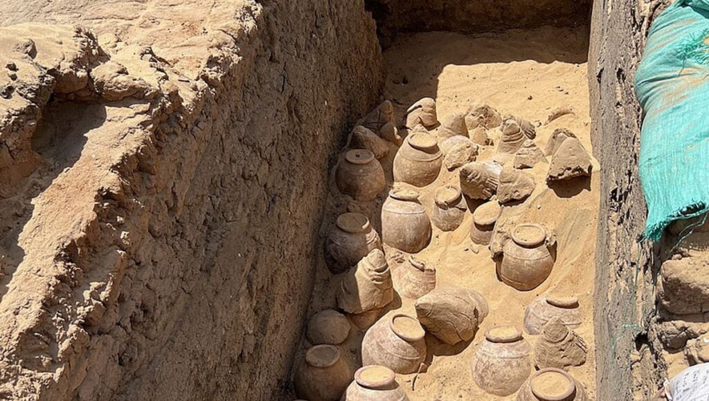 jarras de vinho encontradas em tumba de rainha egípcia